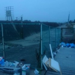 タコ釣れました。