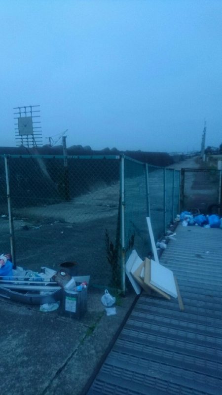 タコ釣れました。