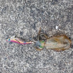 雨が降る前に何とか一杯を、、、