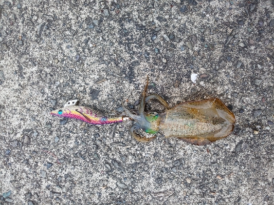 雨が降る前に何とか一杯を、、、