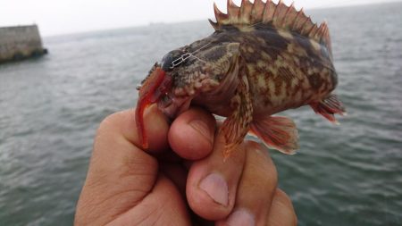 雨の中ワームのテスト
