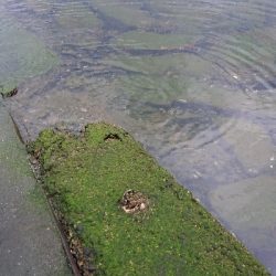 久しぶりのライト