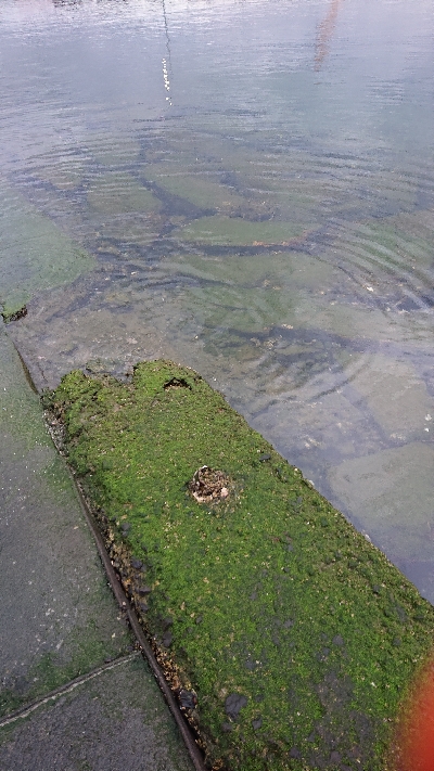 久しぶりのライト