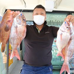 松本釣船2 釣果