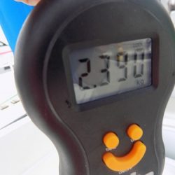 フィッシングボート空風（そらかぜ） 釣果