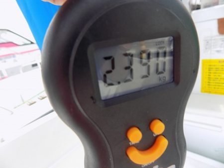 フィッシングボート空風（そらかぜ） 釣果