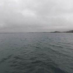 フィッシングボート空風（そらかぜ） 釣果