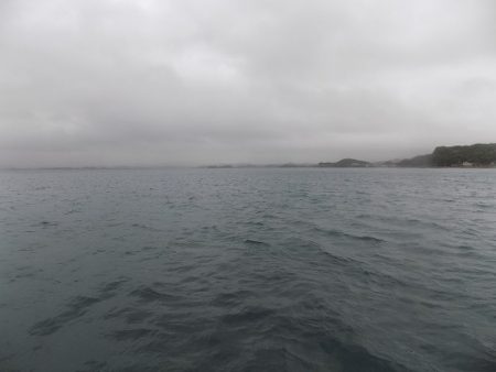 フィッシングボート空風（そらかぜ） 釣果