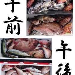 釣り船一番星 釣果