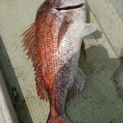 FISHING RISKY 釣果