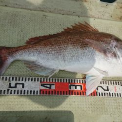 FISHING RISKY 釣果