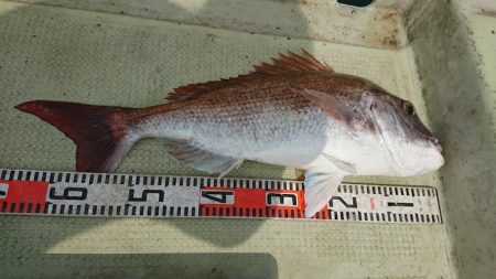 FISHING RISKY 釣果