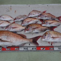 FISHING RISKY 釣果