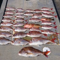 FISHING RISKY 釣果