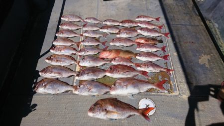 FISHING RISKY 釣果