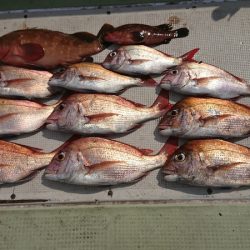 FISHING RISKY 釣果