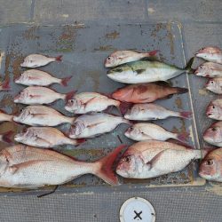 FISHING RISKY 釣果