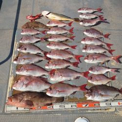 FISHING RISKY 釣果