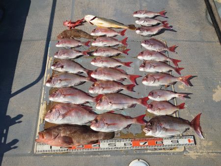 FISHING RISKY 釣果