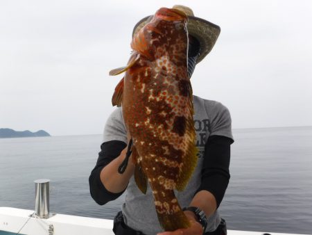 BlueNote Fishing Taxi 釣果