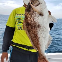 遊漁船 ニライカナイ 釣果