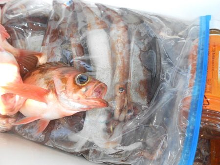 こうゆう丸 釣果