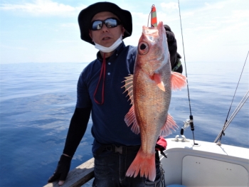 鯛紅丸 釣果