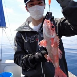 鯛紅丸 釣果