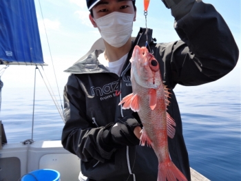 鯛紅丸 釣果