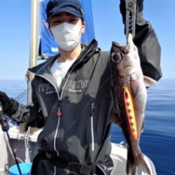 鯛紅丸 釣果