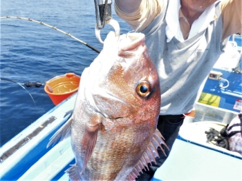 鯛紅丸 釣果