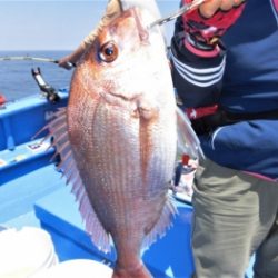 鯛紅丸 釣果