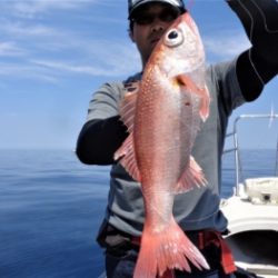 鯛紅丸 釣果