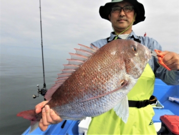 鯛紅丸 釣果