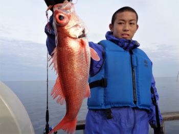 鯛紅丸 釣果