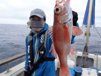 鯛紅丸 釣果