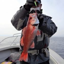 鯛紅丸 釣果