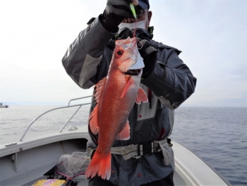 鯛紅丸 釣果