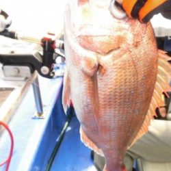 鯛紅丸 釣果