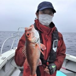 鯛紅丸 釣果