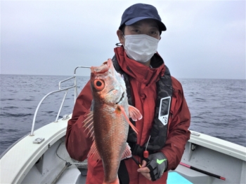 鯛紅丸 釣果