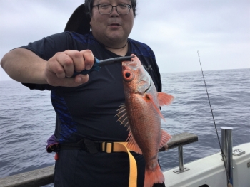 鯛紅丸 釣果