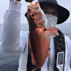 鯛紅丸 釣果