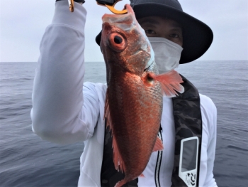 鯛紅丸 釣果