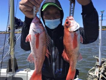鯛紅丸 釣果