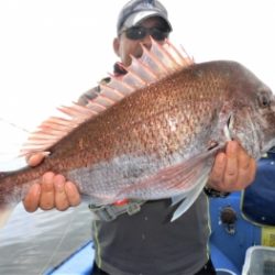 鯛紅丸 釣果
