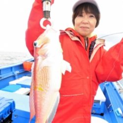 鯛紅丸 釣果