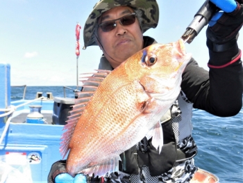 鯛紅丸 釣果