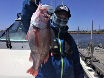 鯛紅丸 釣果