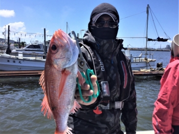 鯛紅丸 釣果